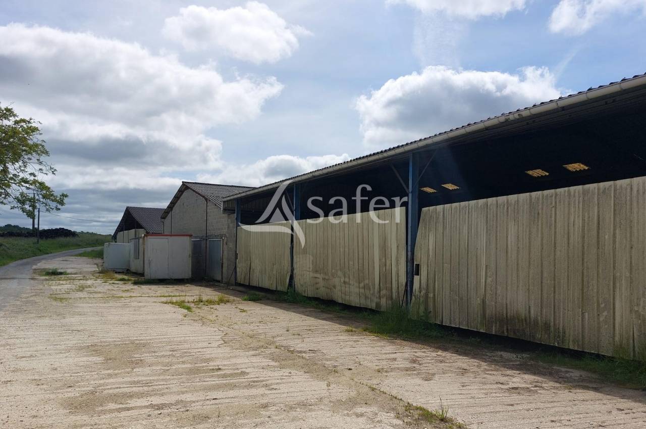 Exploitation d'&eacute;levage sur 32ha avec irrigation en P&eacute;rigord ve