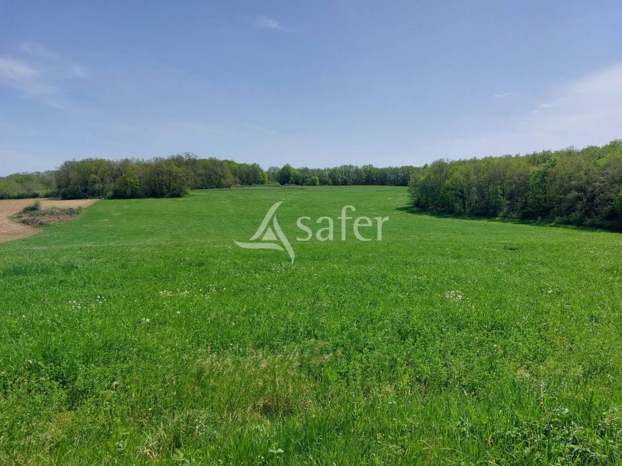 Exploitation d'&eacute;levage sur 32ha avec irrigation en P&eacute;rigord ve