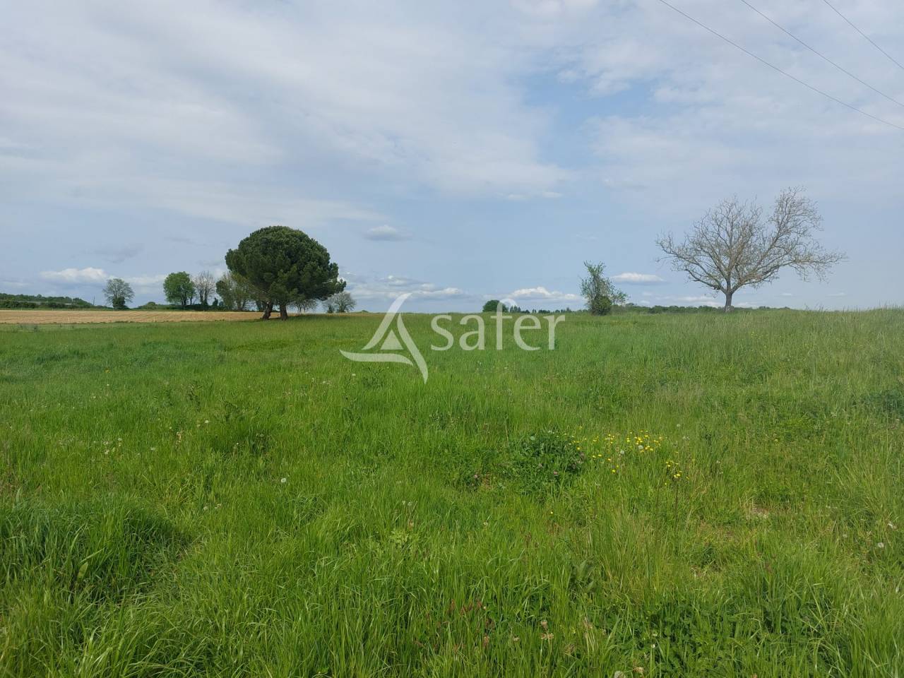 Exploitation d'&eacute;levage sur 32ha avec irrigation en P&eacute;rigord ve