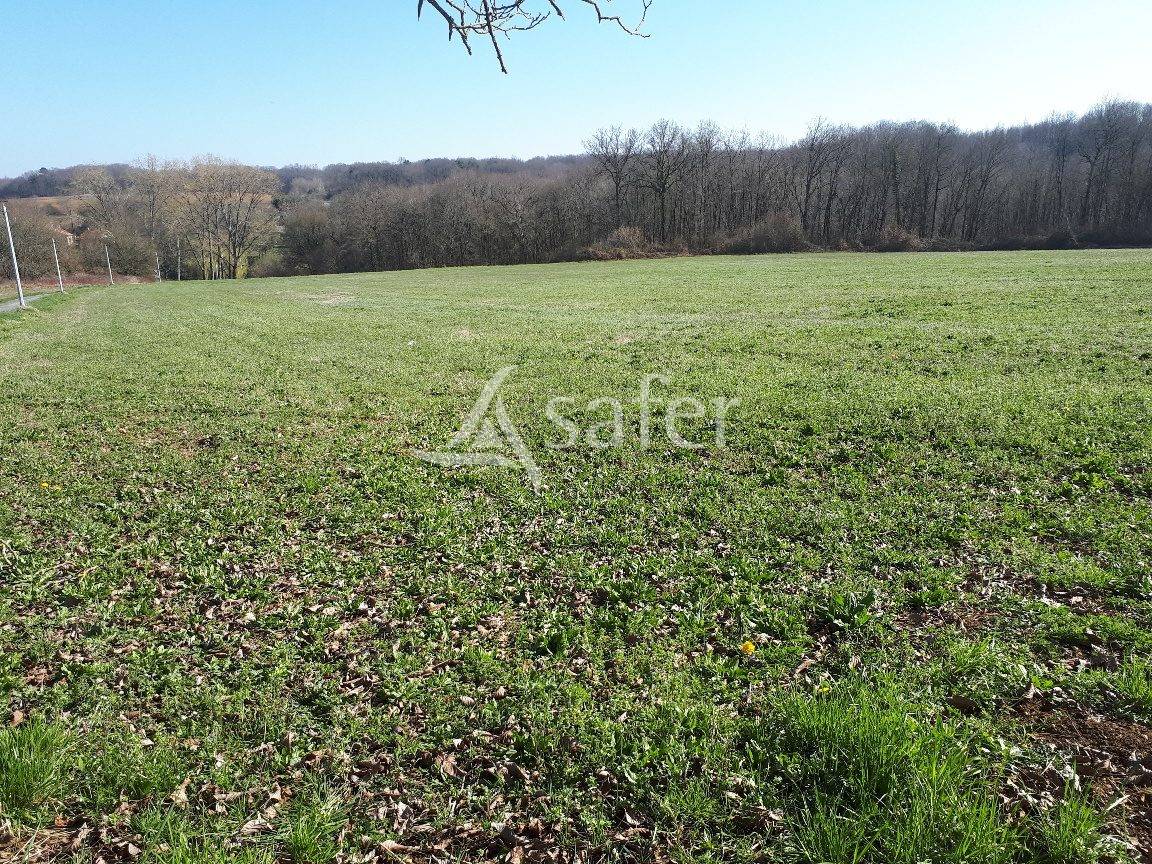 Exploitation d'&eacute;levage sur 32ha avec irrigation en P&eacute;rigord ve