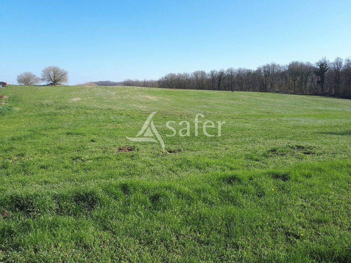 Exploitation d'&eacute;levage sur 32ha avec irrigation en P&eacute;rigord ve