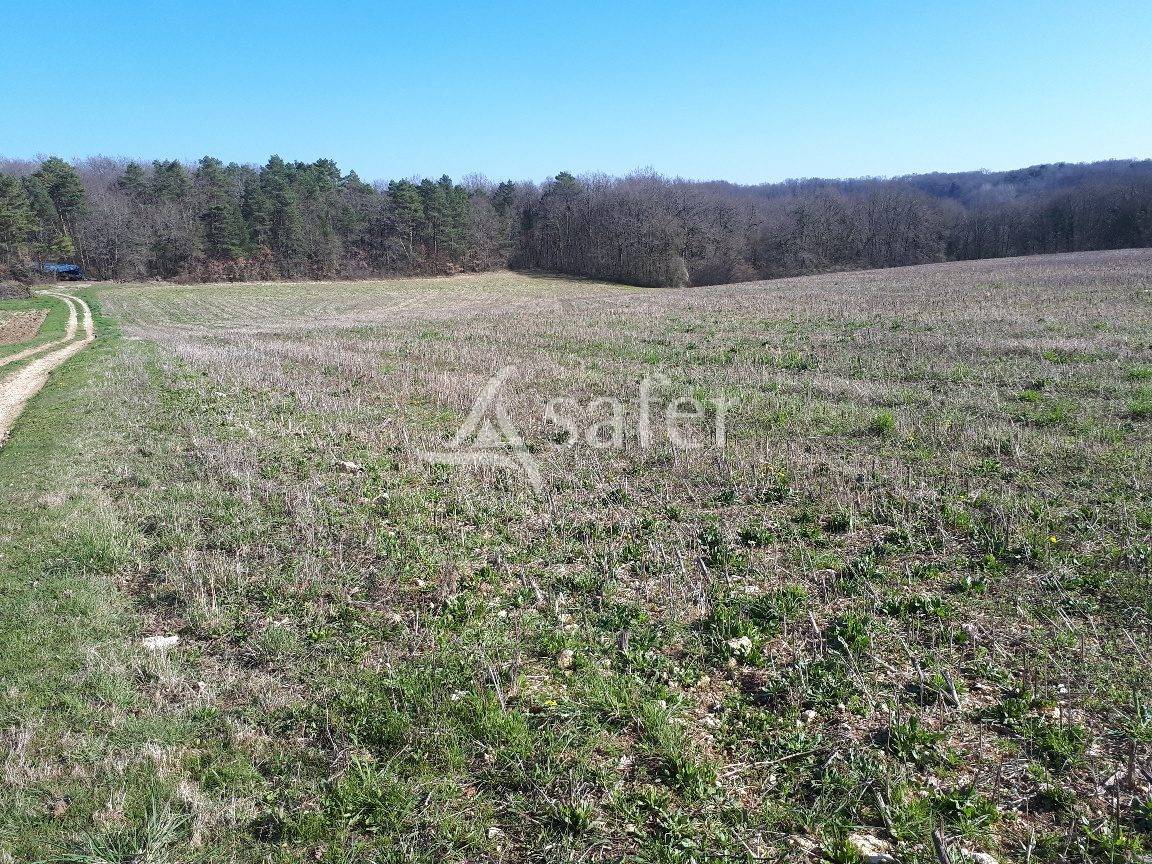 Exploitation d'&eacute;levage sur 32ha avec irrigation en P&eacute;rigord ve