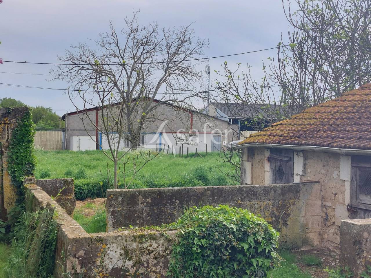 Exploitation d'&eacute;levage sur 32ha avec irrigation en P&eacute;rigord ve
