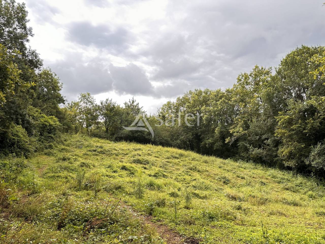 Propri&eacute;t&eacute; avec g&icirc;te sur 4ha