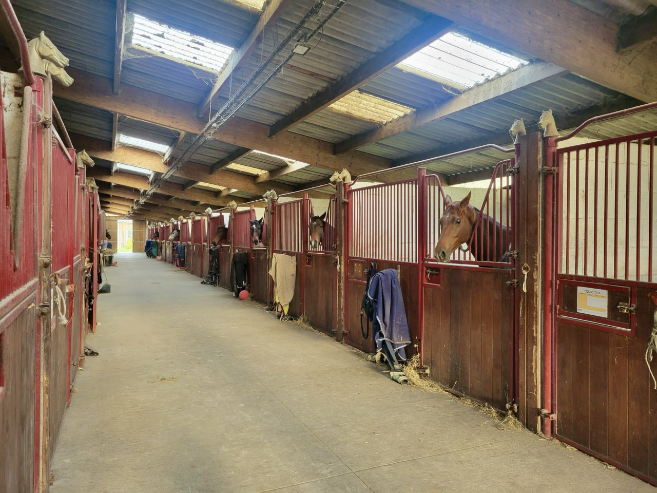 Ecurie sur 15ha