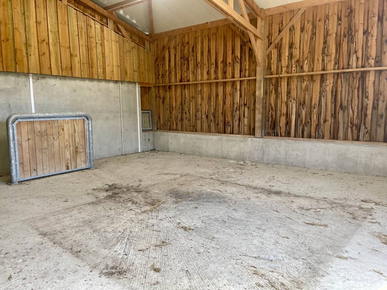 HARAS DU PIN - MAISON, 10 BOXES, DEPENDANCES, 5 HA