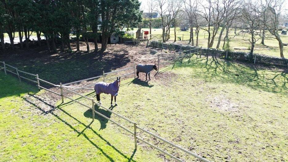 Propri&eacute;t&eacute; 3,2Ha Cote d'Armor (1 km plage chevaux Ok)