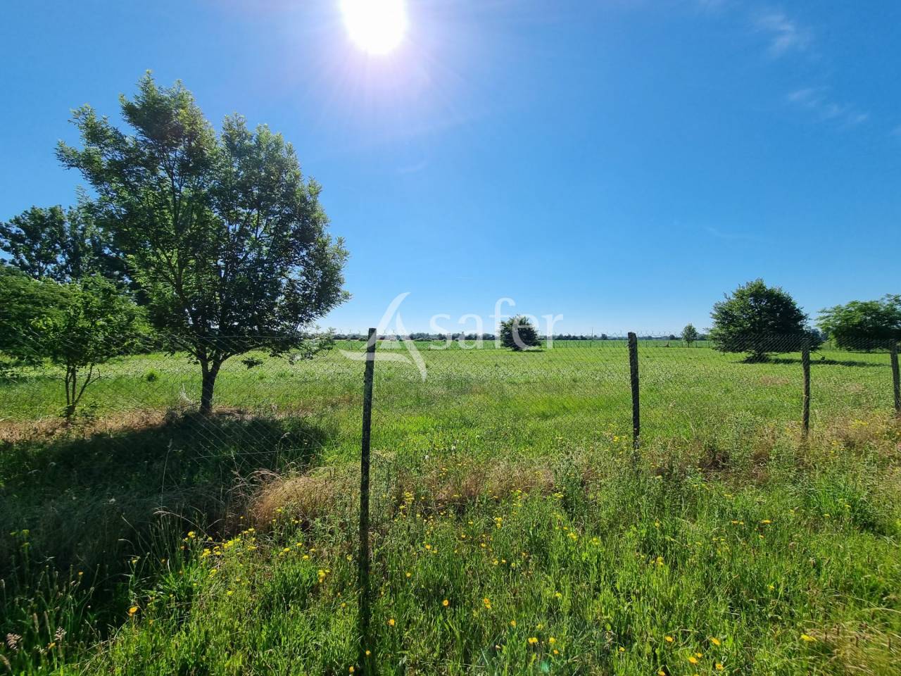 Site d'élevage de volailles ou porcs fermiers Val d'Adour