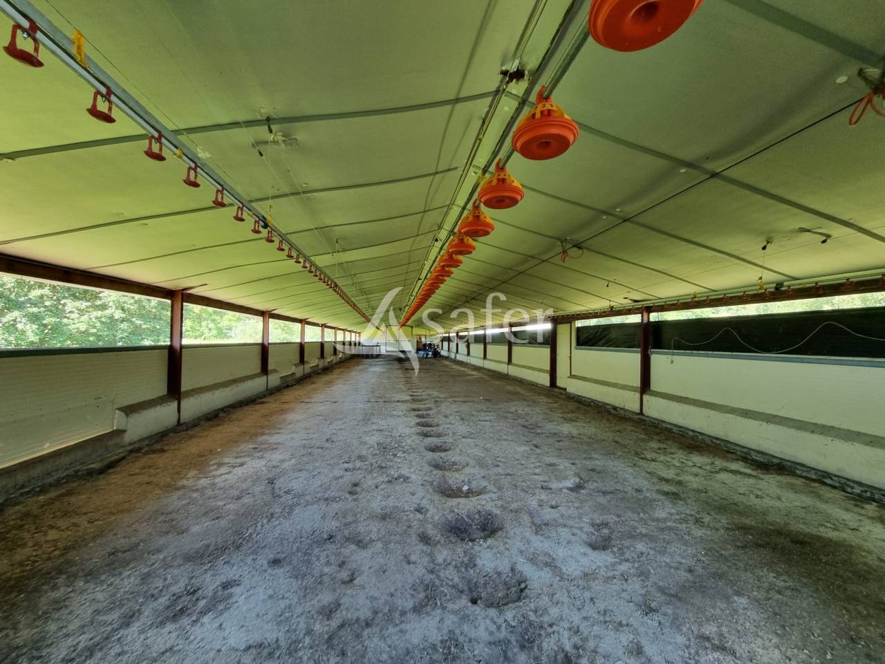 Site d'élevage de volailles ou porcs fermiers Val d'Adour