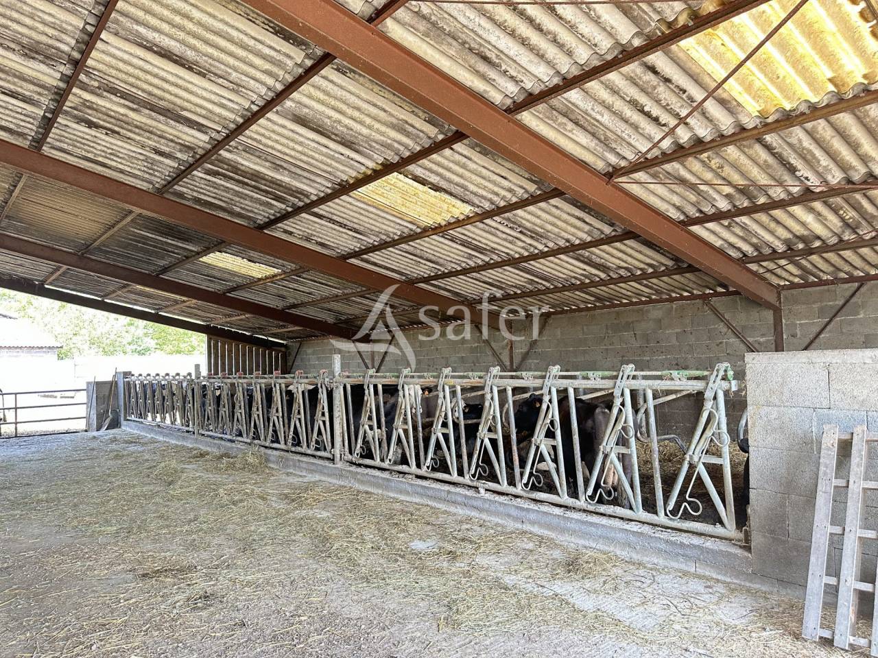 Exploitation Laitière 57 hectares