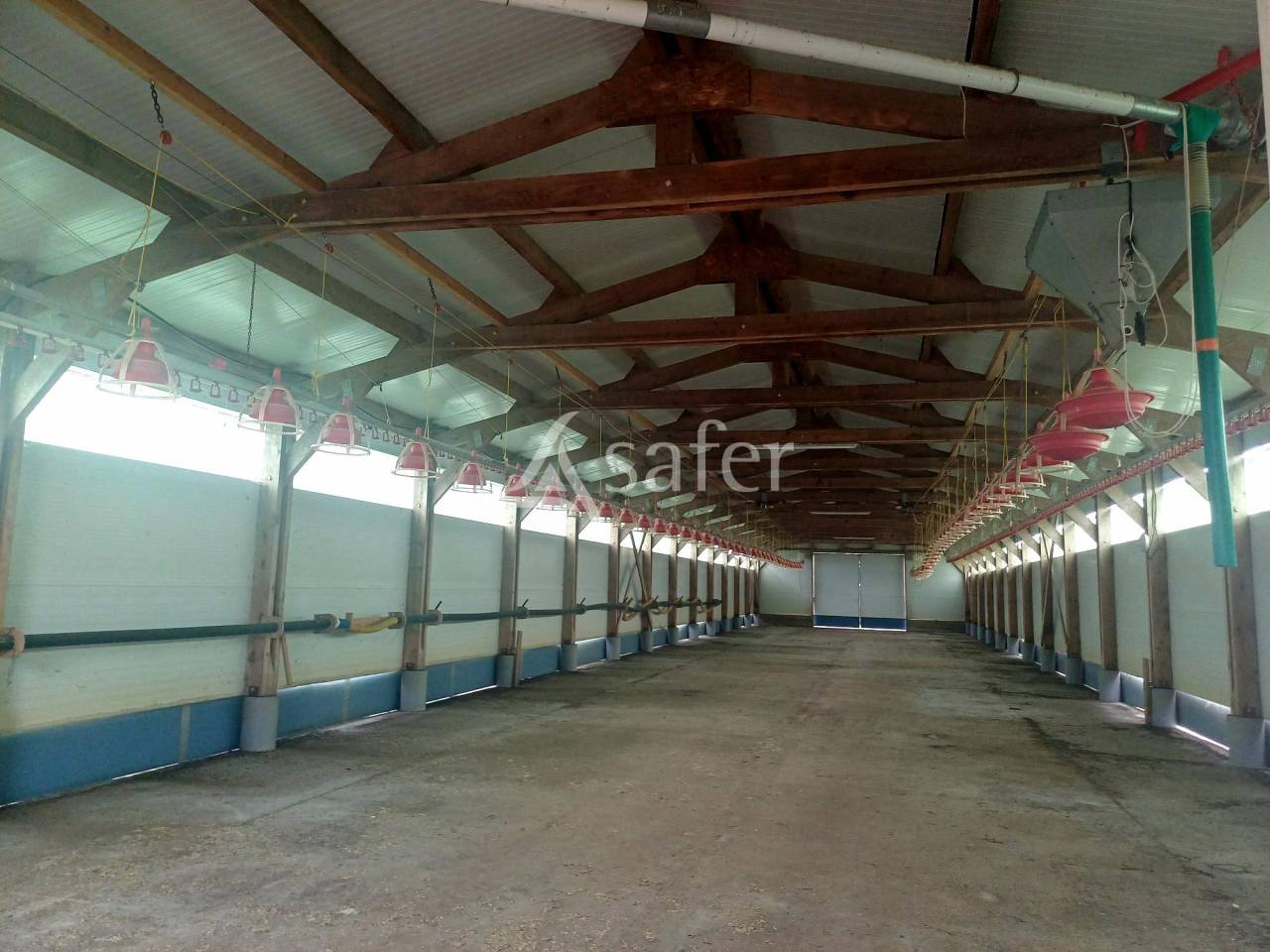 Propriété avec bâtiments élevage + maison POYARTIN