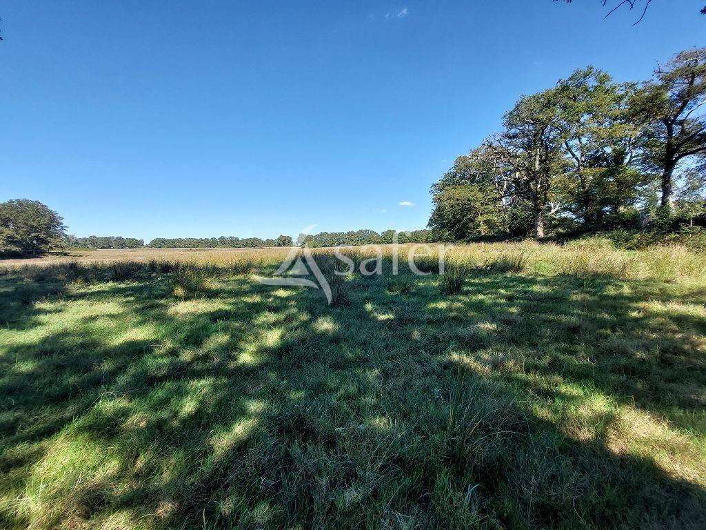 Propriété de caractère, isolée du voisinage avec 60 ha atten