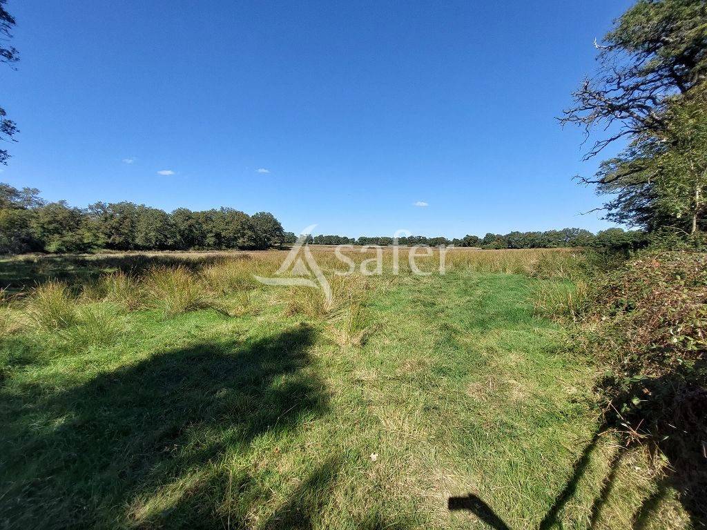 Propriété de caractère, isolée du voisinage avec 60 ha atten