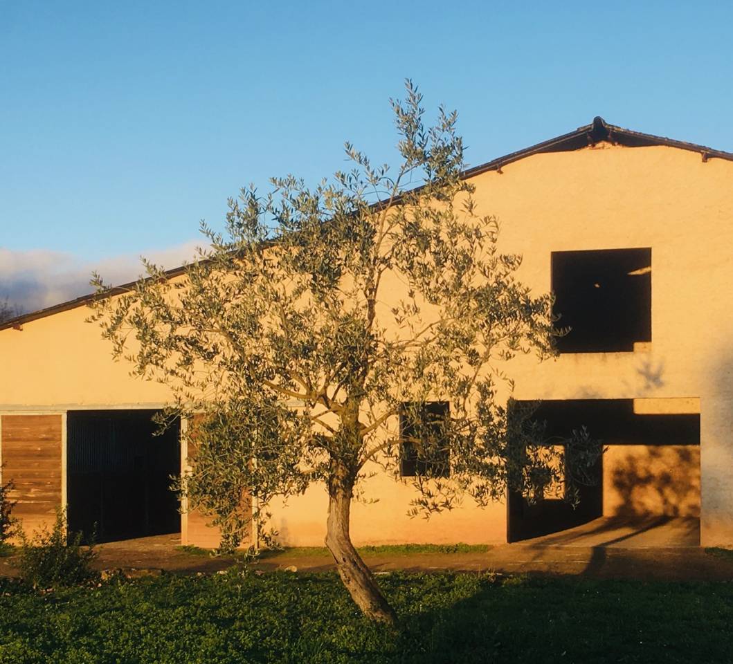 Propriété Equestre