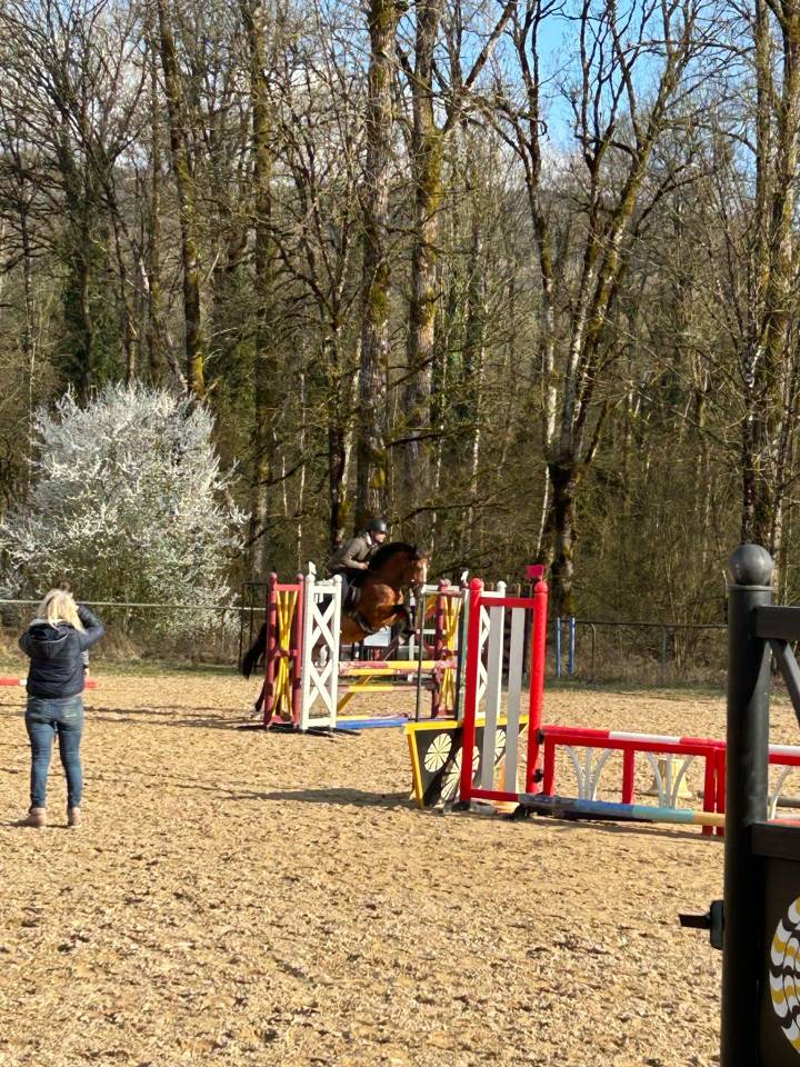 4 ans mâle Algator X Rambo