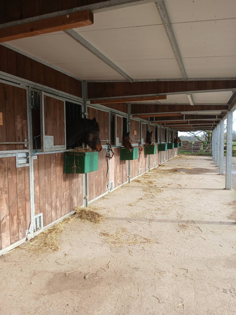 Pension spécialisée pour vieux chevaux et 100% Bio