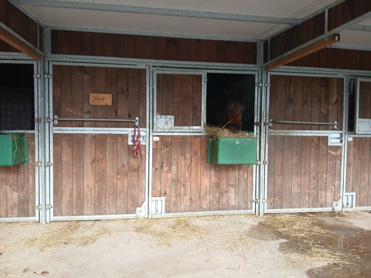 Pension spécialisée pour vieux chevaux et 100% Bio