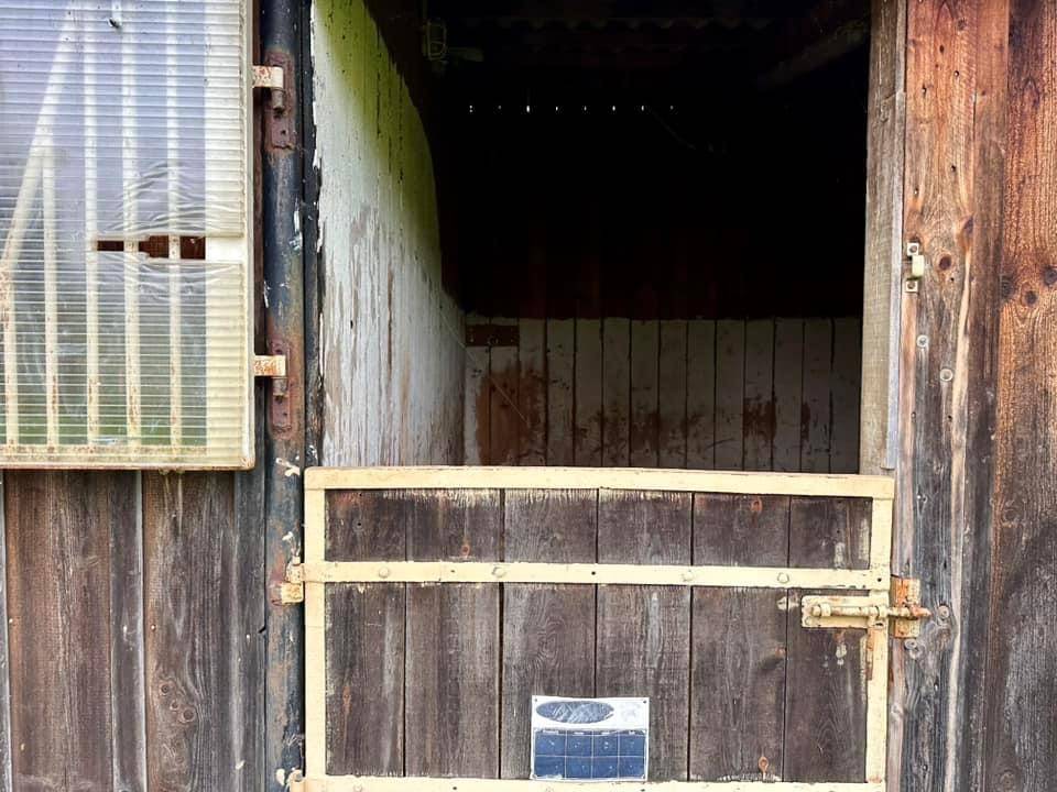 Propriété équestre de 13 hectares (14)