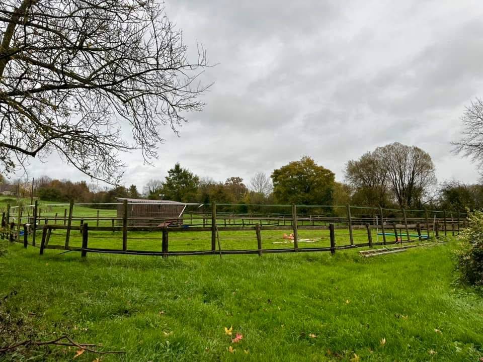 Propriété équestre de 13 hectares (14)