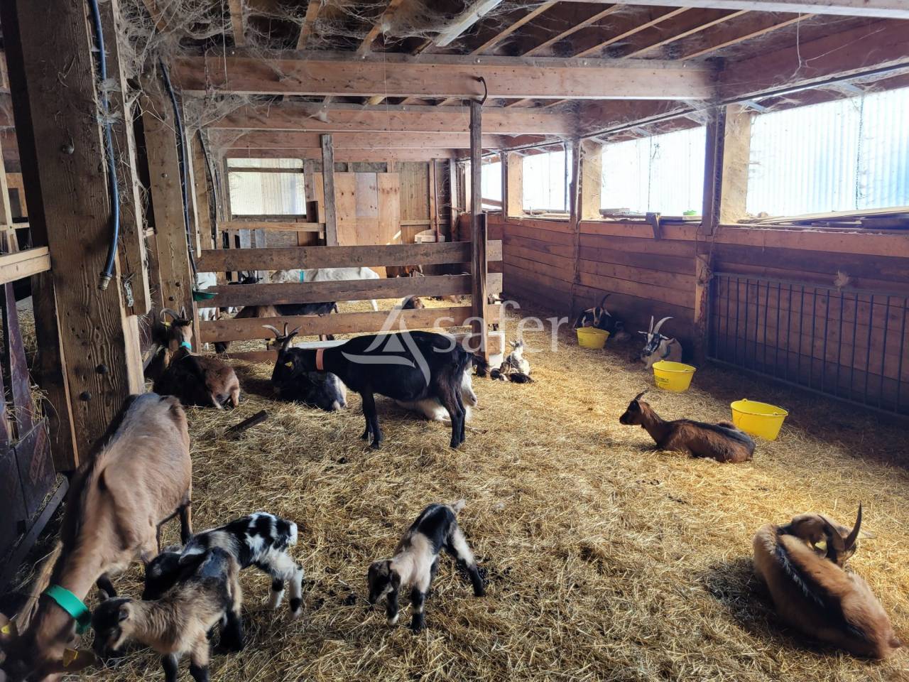 Ferme sur les hauteurs de Moûtiers