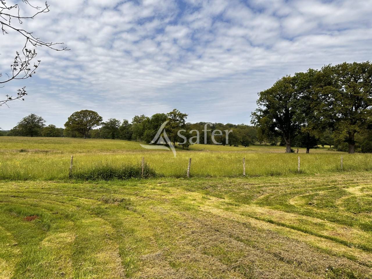Propriété de caractère avec gîtes et 125 hectares