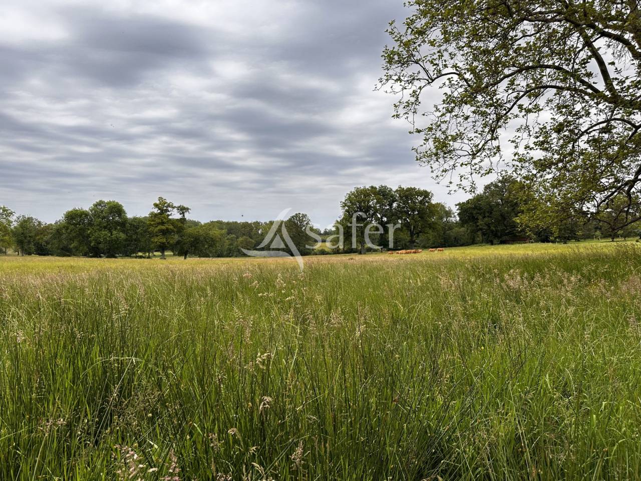 Propriété de caractère avec gîtes et 125 hectares