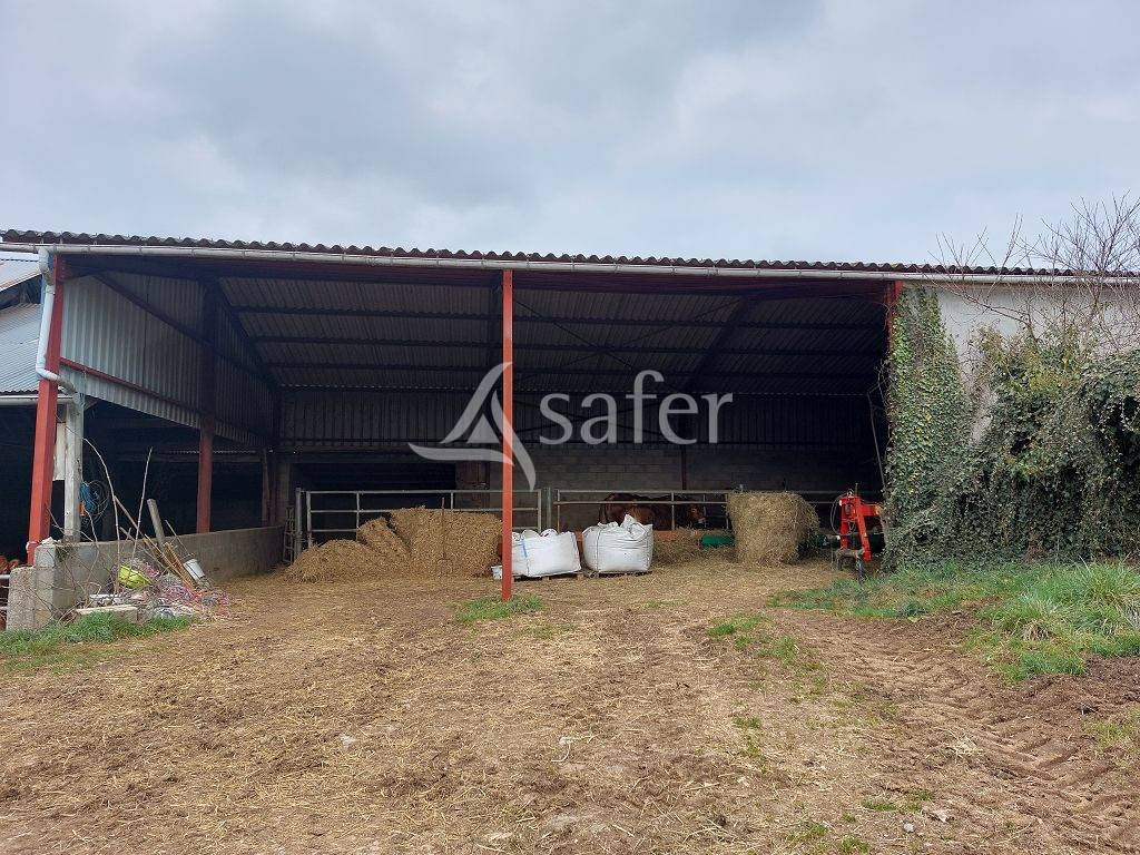 En Creuse, en limite de la Haute-Vienne, propriété sur environ