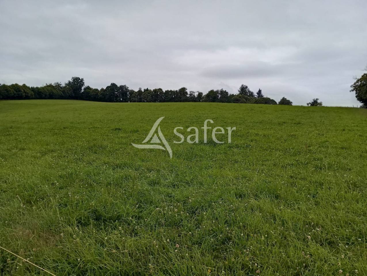 En Creuse, en limite de la Haute-Vienne, propriété sur environ