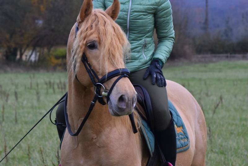 Etalon double pearl pour monte 2026