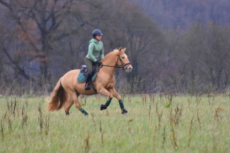 Etalon double pearl pour monte 2026