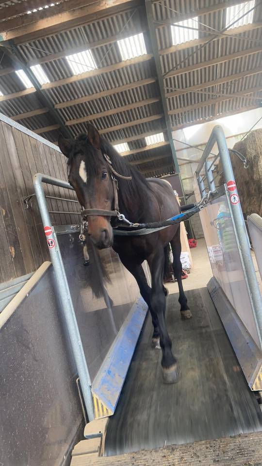 Pensions boxes disponibles 