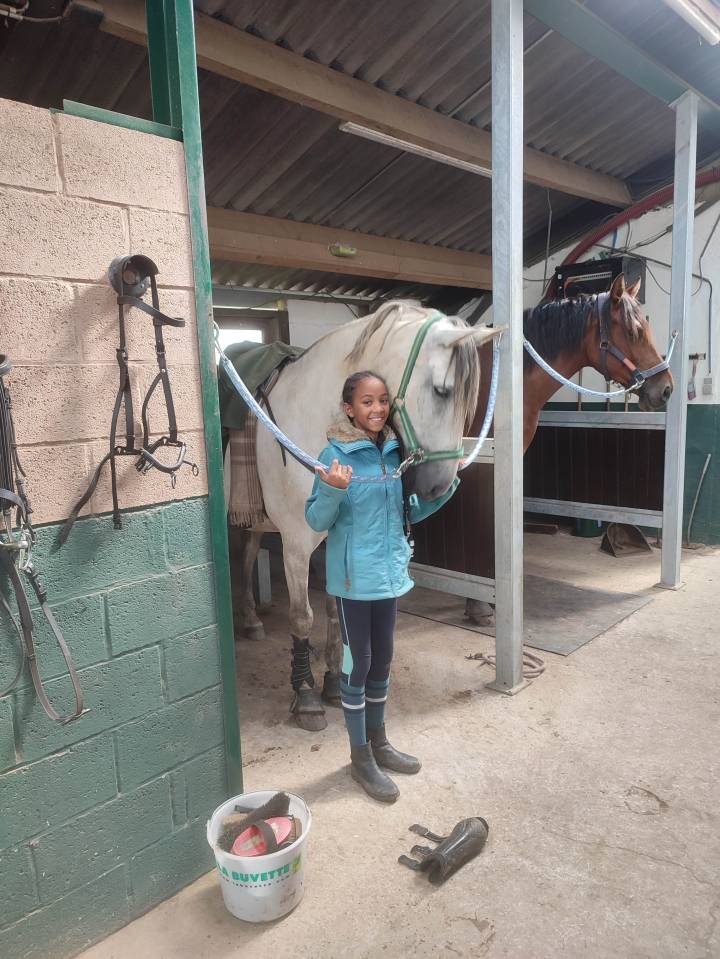 Pensions boxes disponibles 