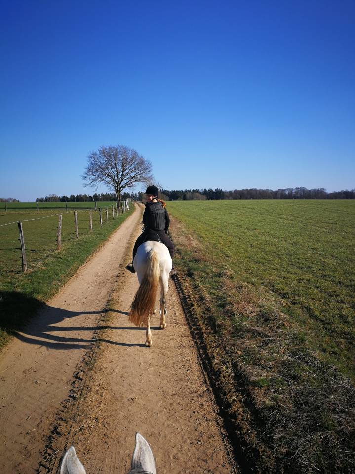 Pensions boxes disponibles 