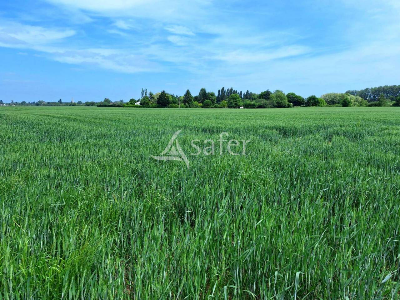 Vente terres agricoles libres