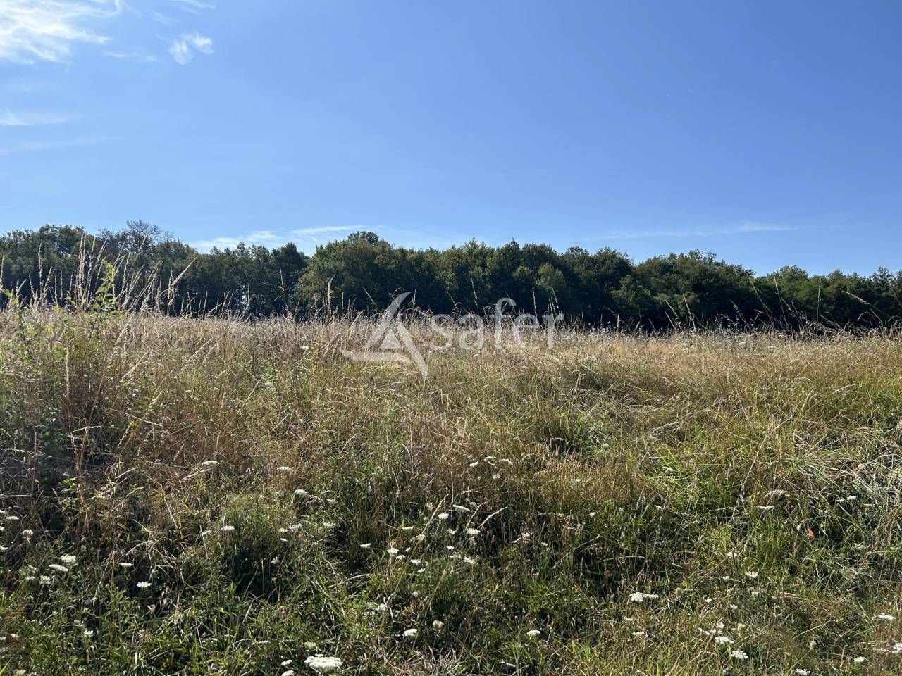 Propriété agricole sur 16ha