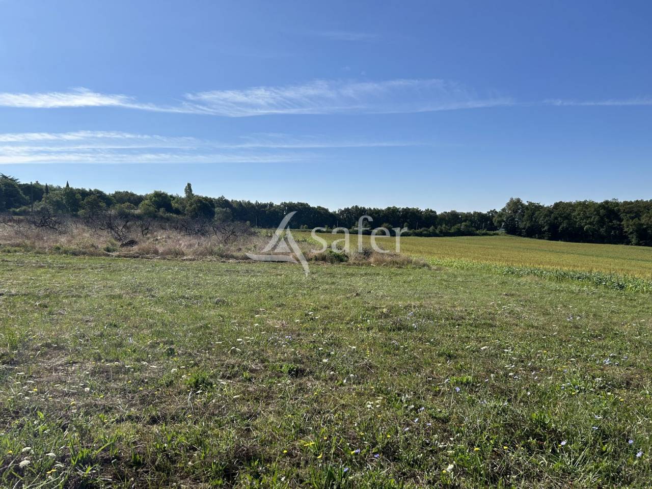 Propri&eacute;t&eacute; agricole sur 16ha