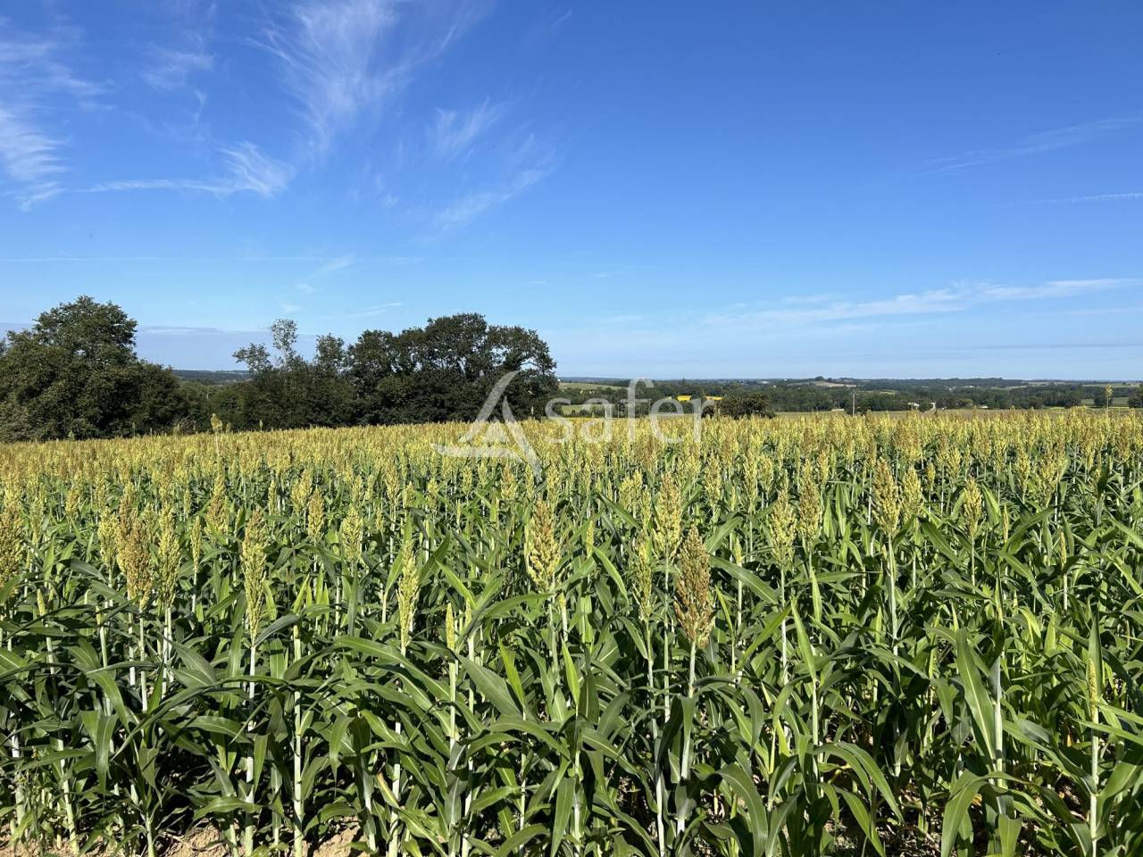 Propri&eacute;t&eacute; agricole sur 16ha