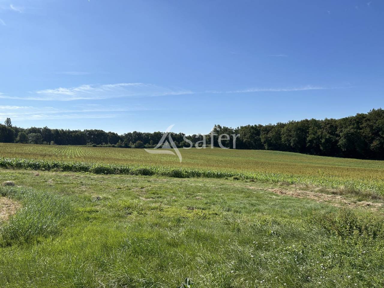 Propri&eacute;t&eacute; agricole sur 16ha