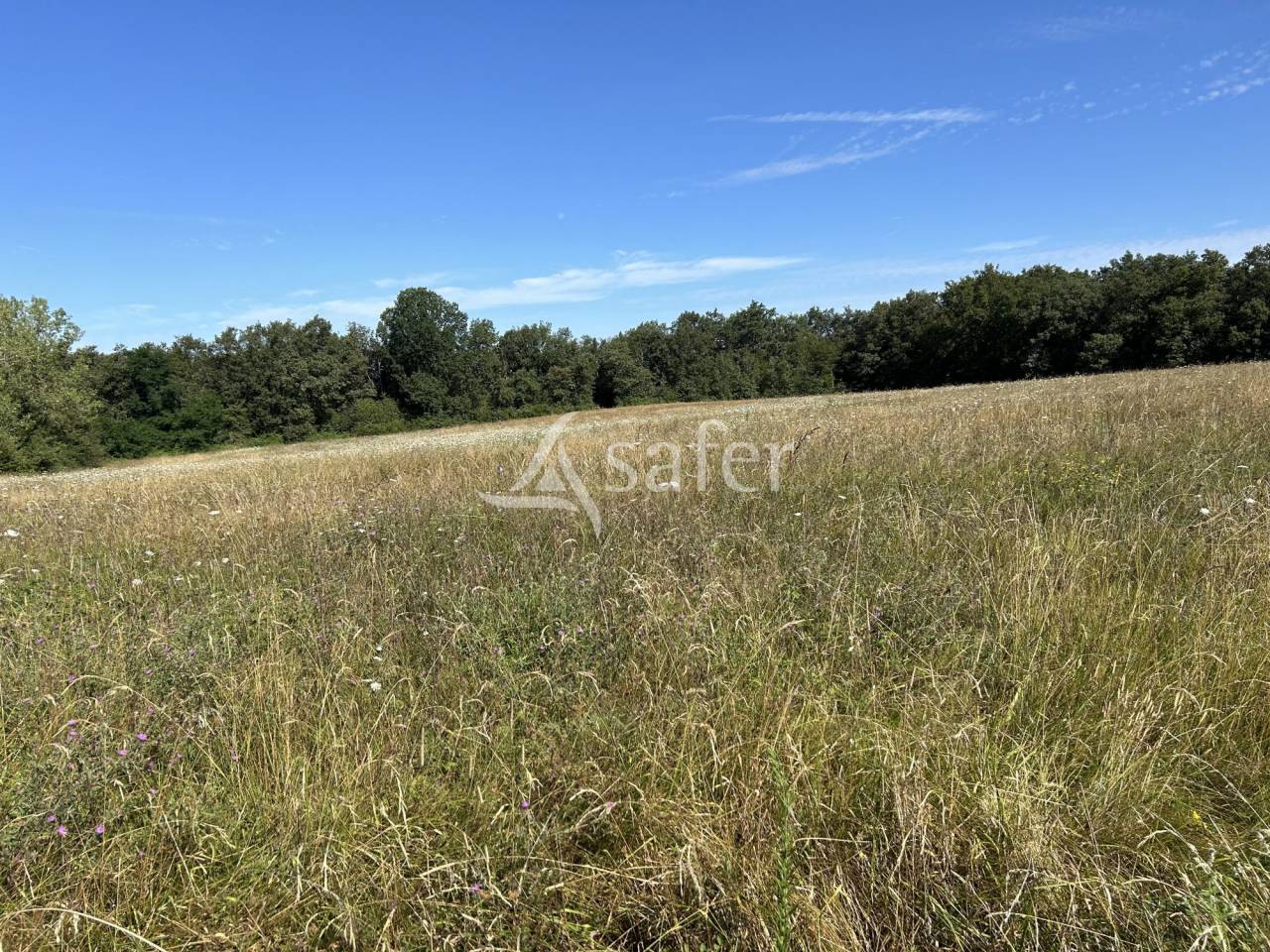 Propri&eacute;t&eacute; agricole sur 16ha