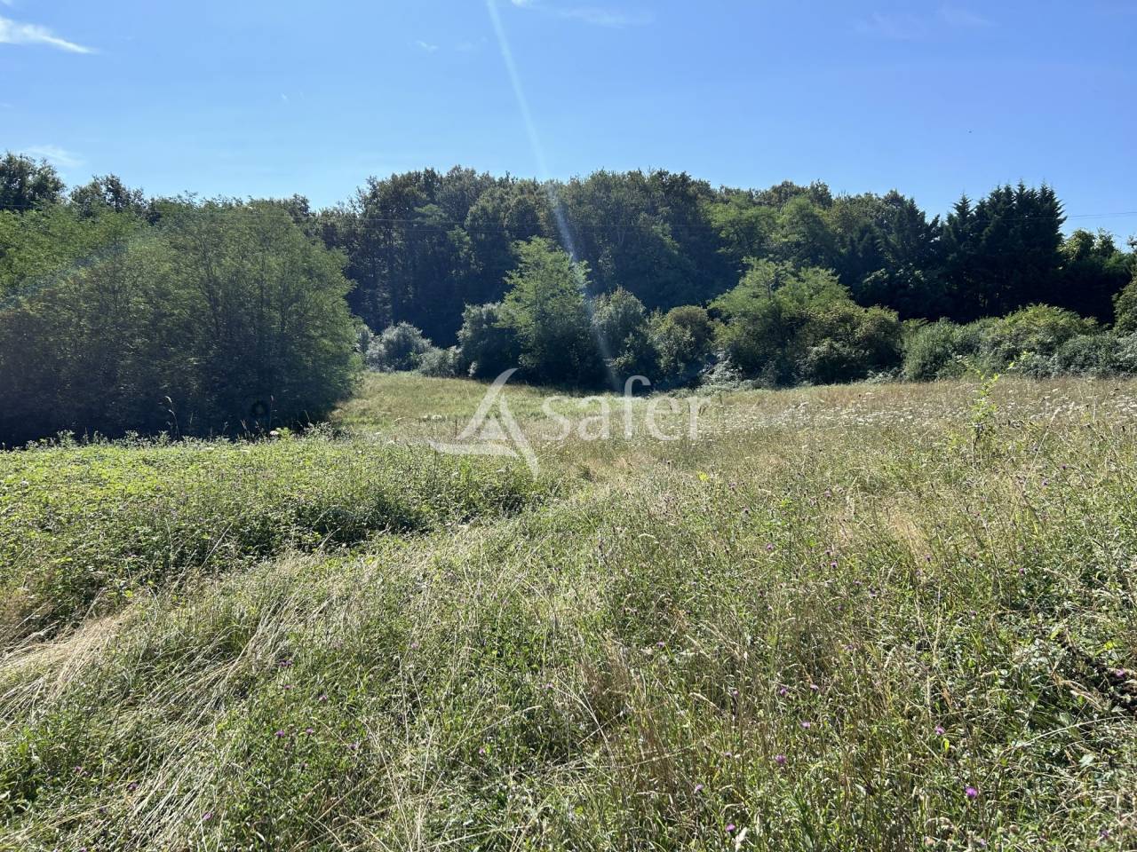 Propri&eacute;t&eacute; agricole sur 16ha