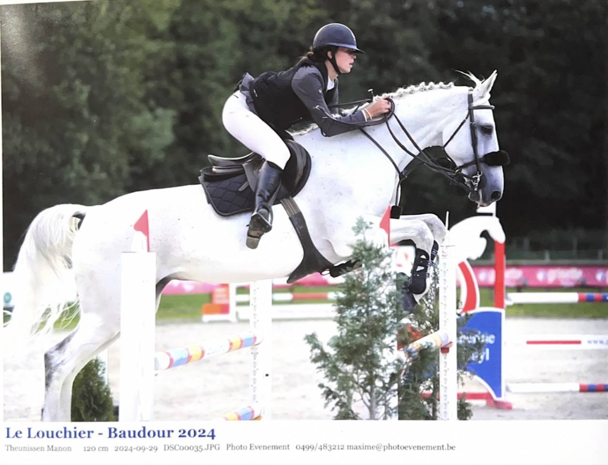 Pension travail, débourrage, dépôt vente 