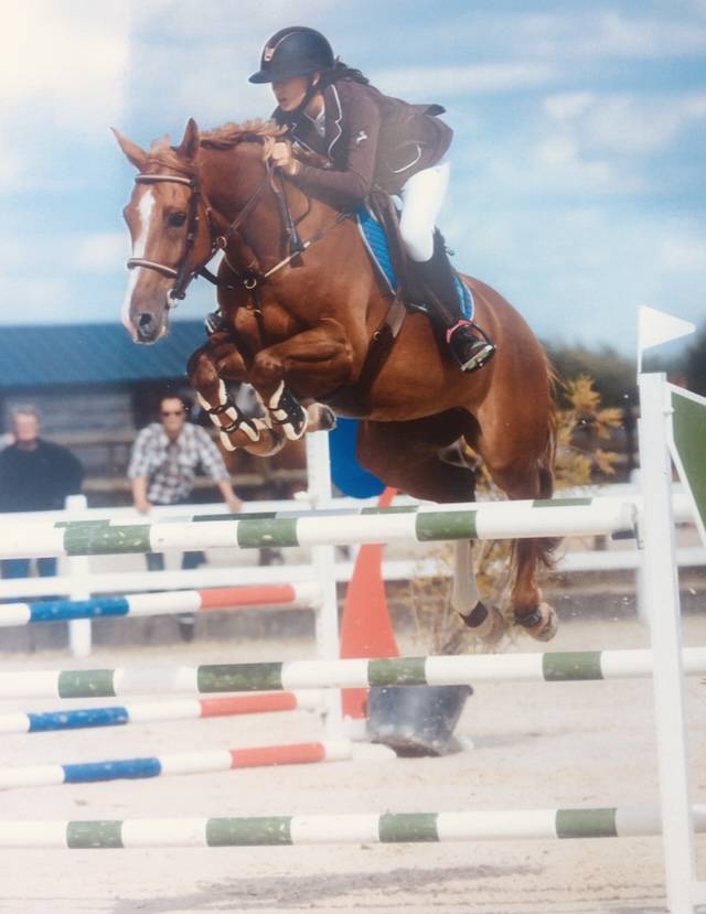 Pension travail, débourrage, dépôt vente 