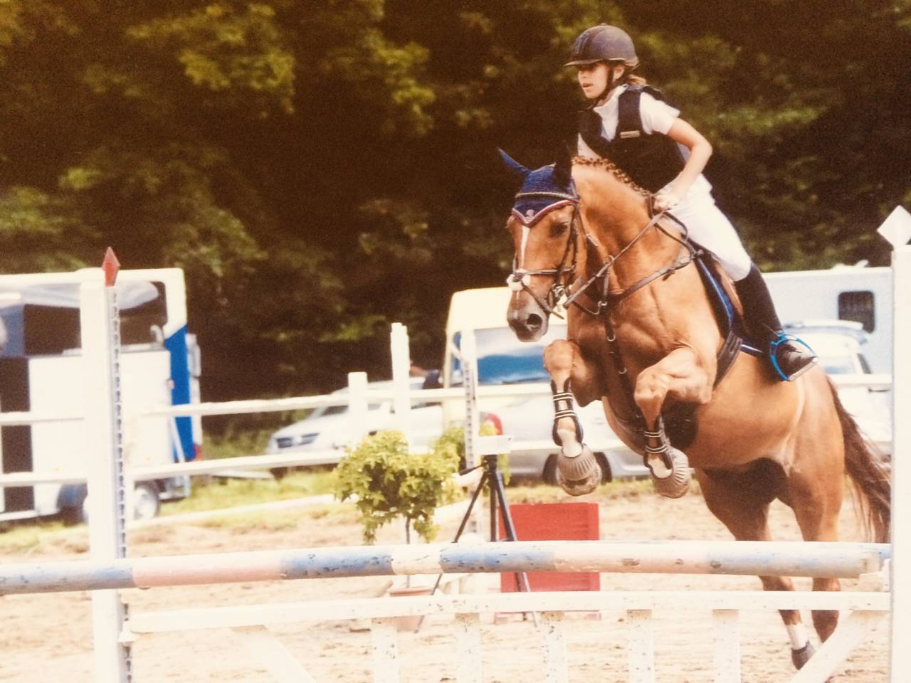 Pension travail, débourrage, dépôt vente 