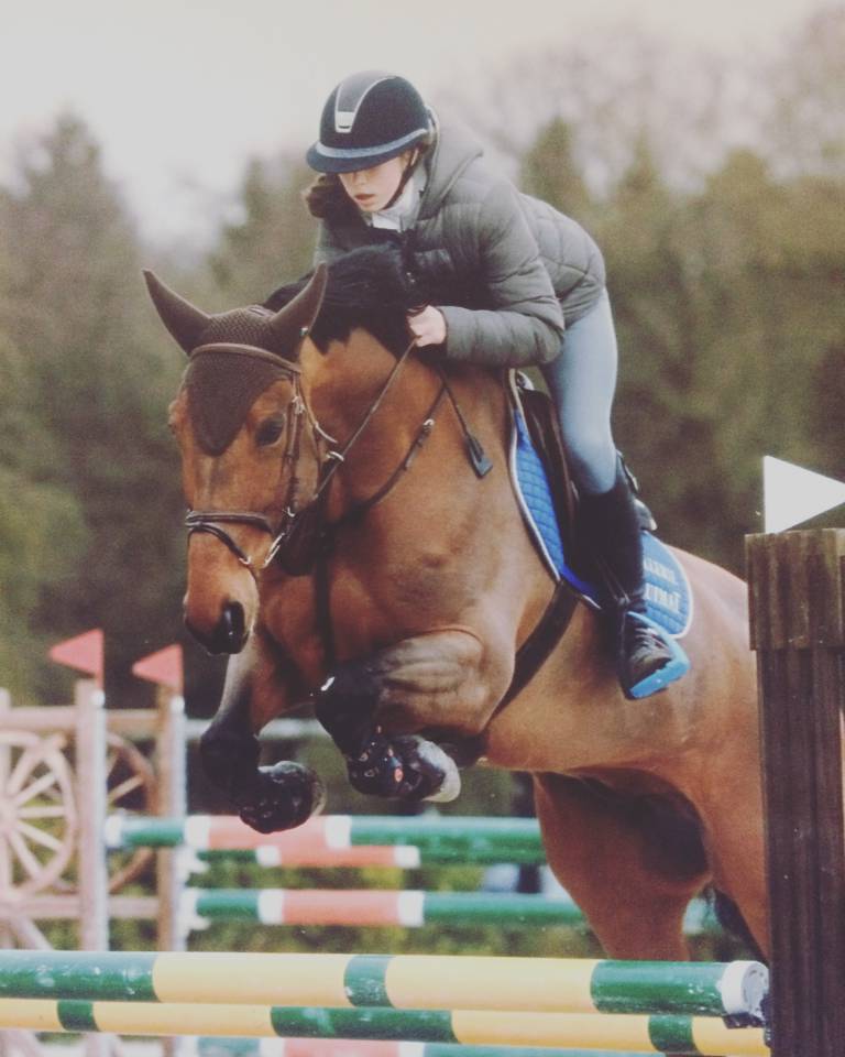 Pension travail, débourrage, dépôt vente 