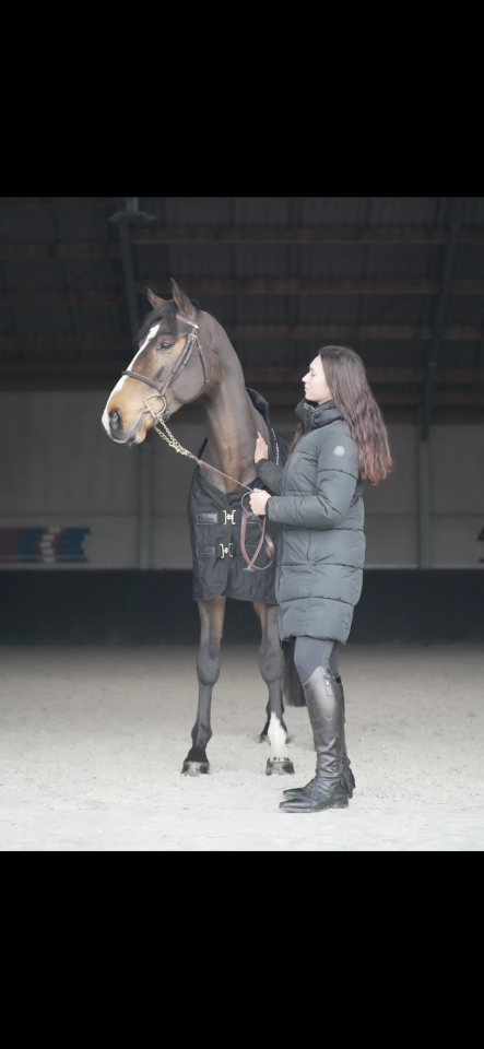 Pension travail, débourrage, dépôt vente 