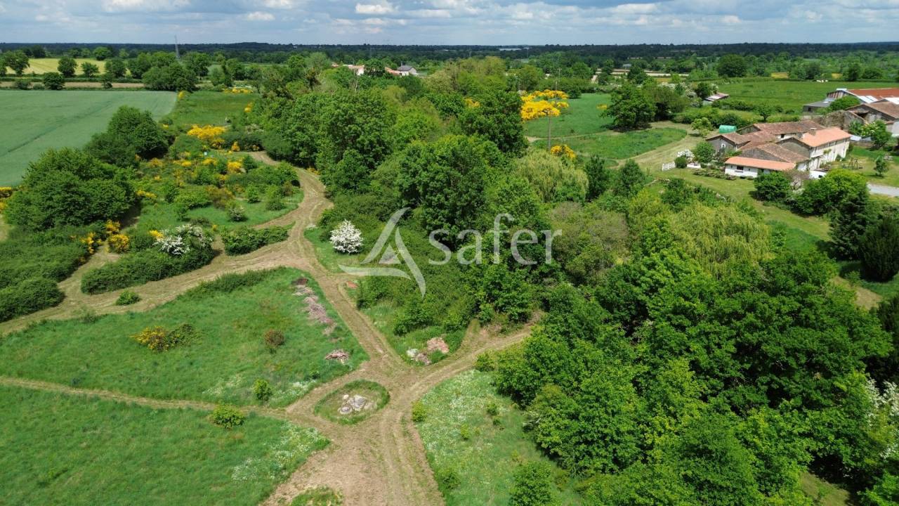 Propriété Rurale sur 4 ha (Possibilité BIO)