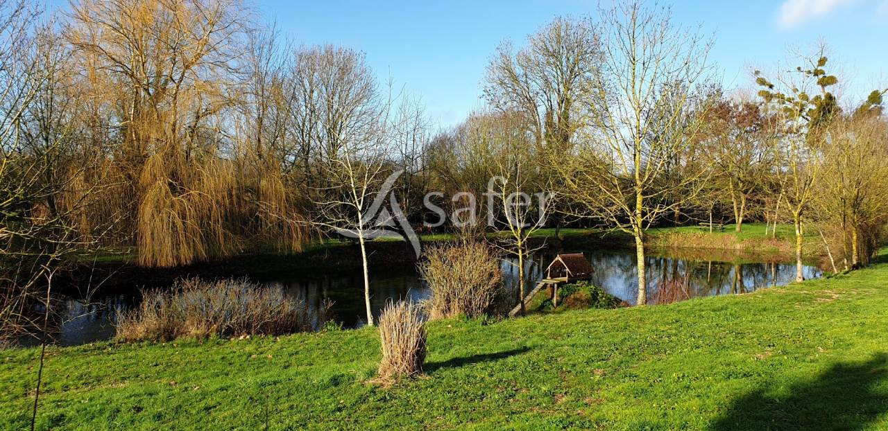 Propriété Rurale sur 4 ha (Possibilité BIO)