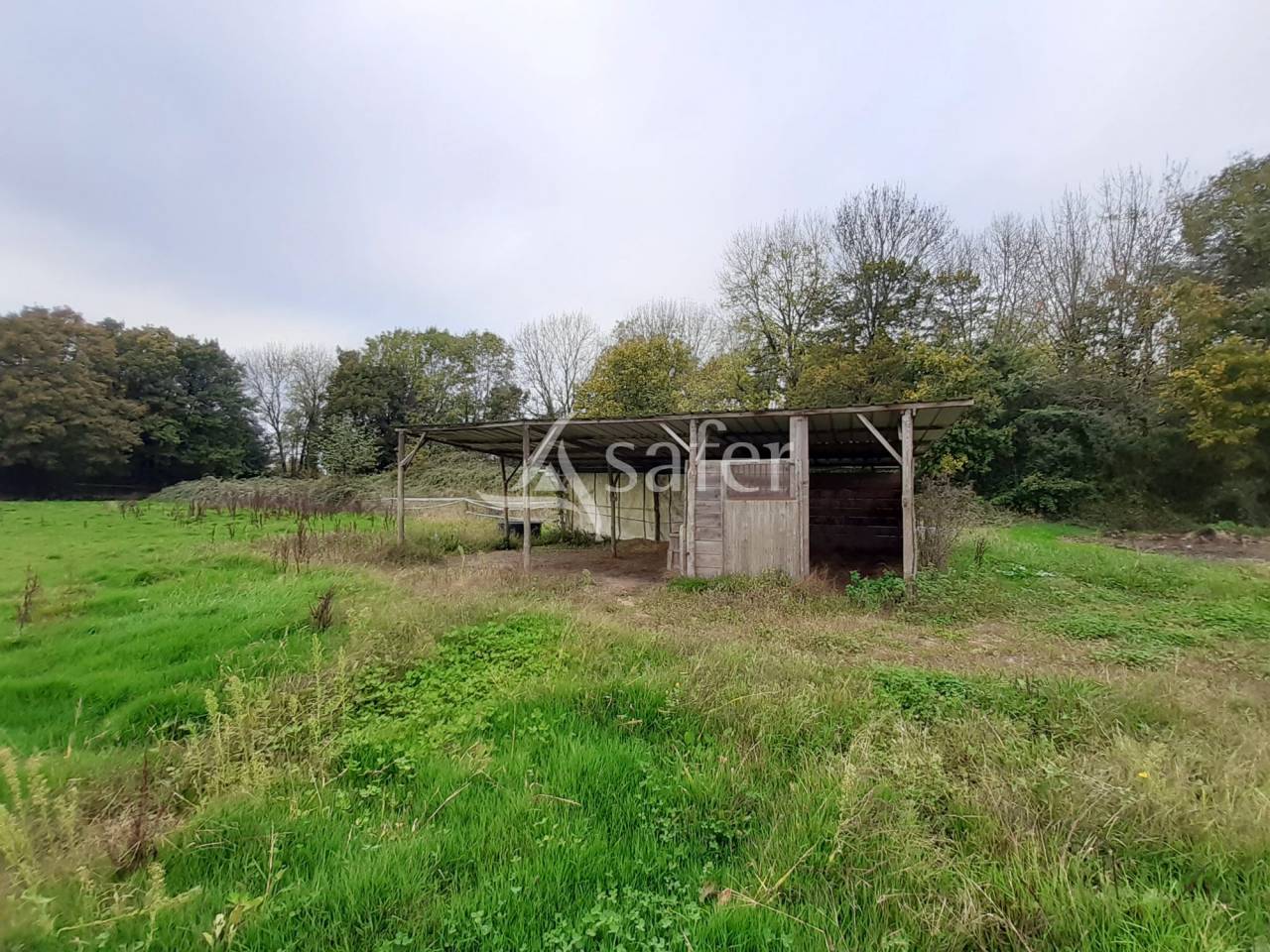 Maison en Campagne sur 16 ha