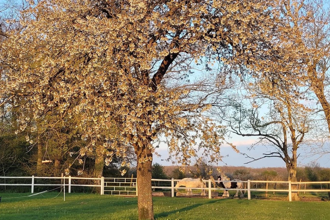 Propriété équestre de 6ha située à 1H de Paris (27)