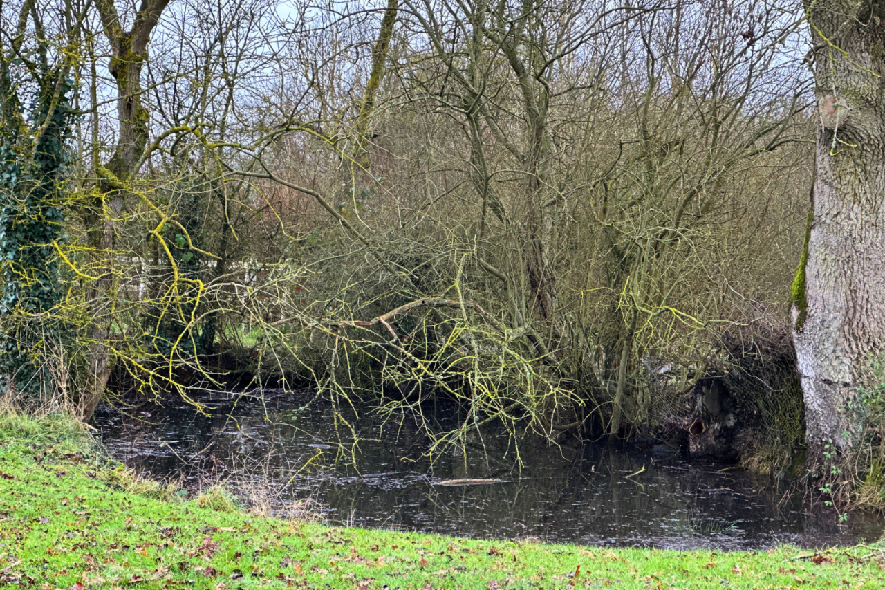 Propriété équestre de 6ha située à 1H de Paris (27)